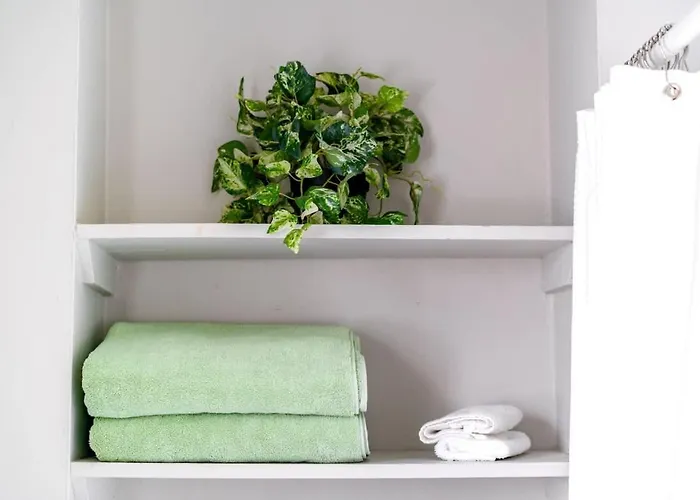 Сasa de vacaciones Casa Quatro By Jungle House Near Convention Center Osu & Nationwide Arena Walk To High Street Downtown & Short North 5 800reviews Private Parking